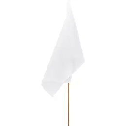 Champion Large Hand Flag - 90cm x 60cm Unbranded